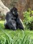 gal/2021/12 ZOO Praha/_thb_20210806_122910.jpg